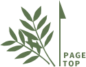 pagetop